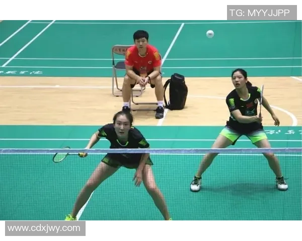 武汉羽毛球队与杭州羽毛球队赛后技术分析与战术总结