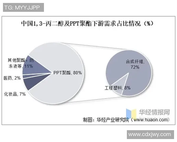 重庆排球队技术分析与战术创新的深度探讨与展望