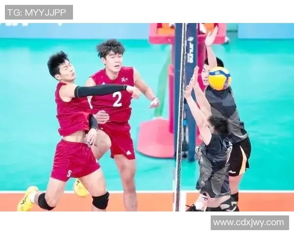 杭州排球队在全国排球团队协作排行榜中荣获第三名的佳绩分析