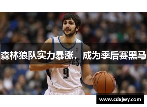 森林狼队实力暴涨，成为季后赛黑马