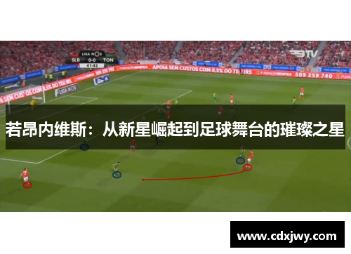 若昂内维斯：从新星崛起到足球舞台的璀璨之星